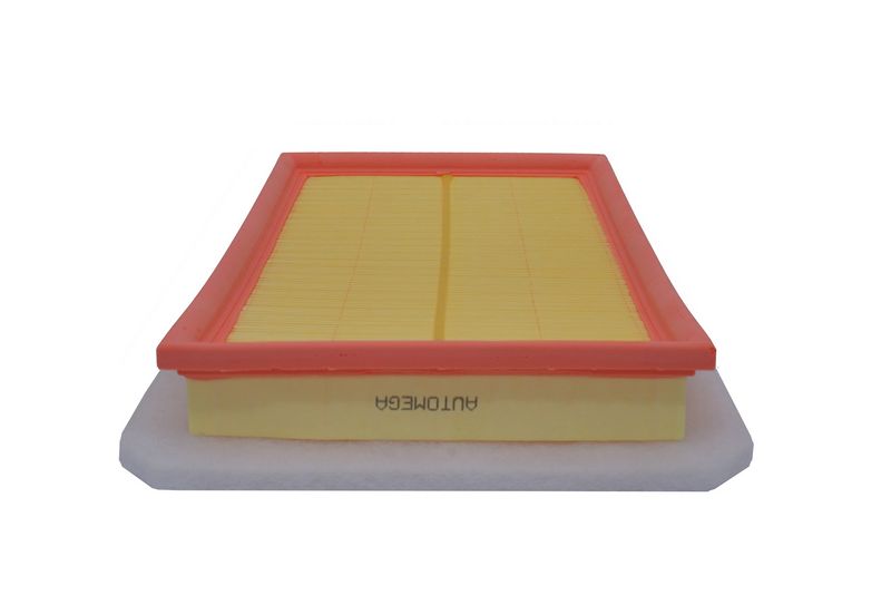 AUTOMEGA 180021110 Air Filter