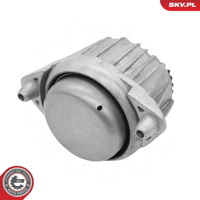 ESEN SKV 75SKV417 Variklio pagalvė