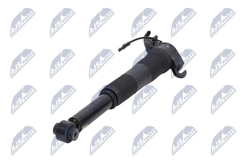Amort, NTY A-LR-022