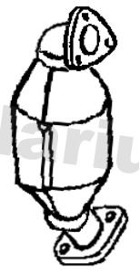 323529.JPG