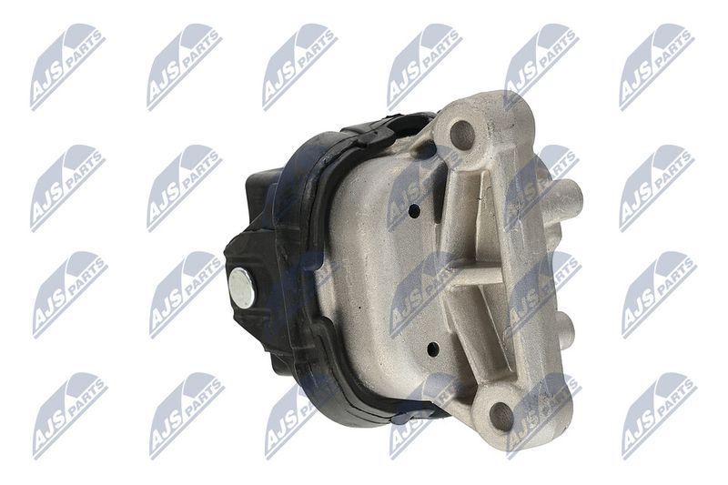 Paigutus, Mootor, NTY ZPS-CH-019