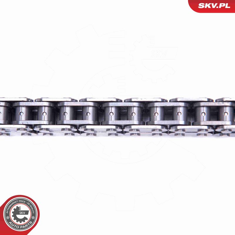 ESEN SKV 21SKV189 Timing Chain Kit