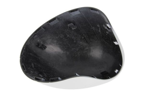 BLIC 6103-05-2001841P Housing, exterior mirror