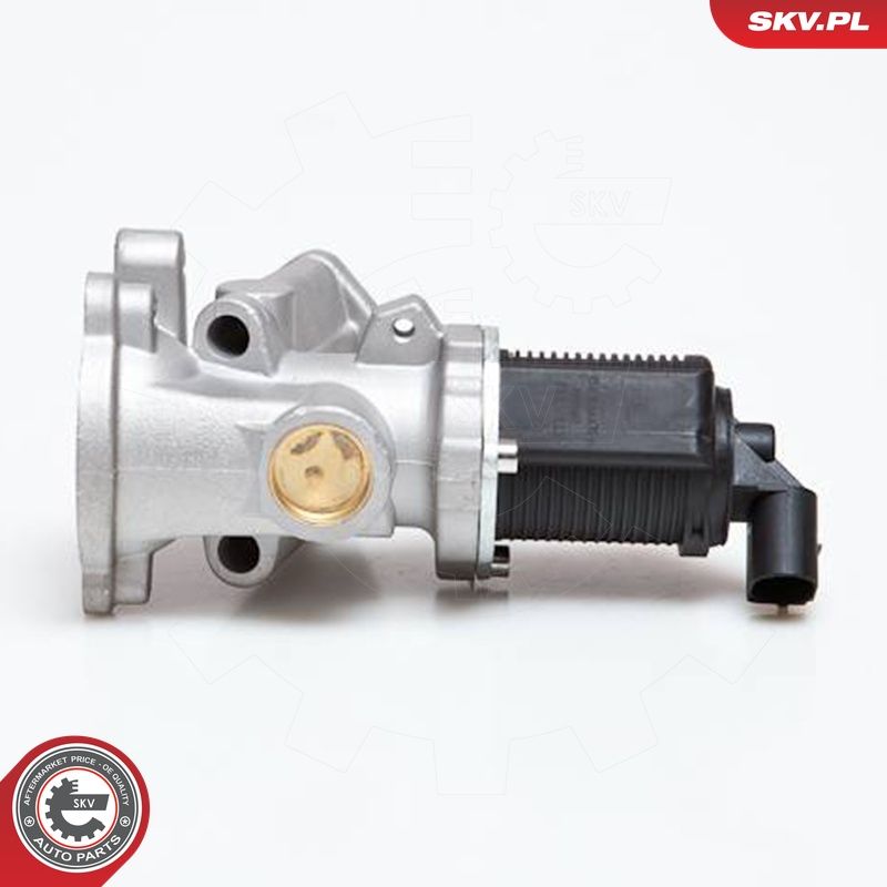 EGR-klapp, ESEN SKV 14SKV031