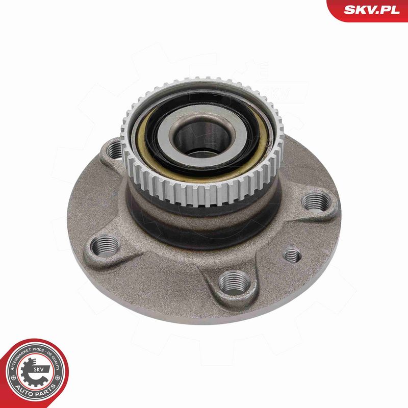 ESEN SKV 29SKV723 Wheel Bearing Kit