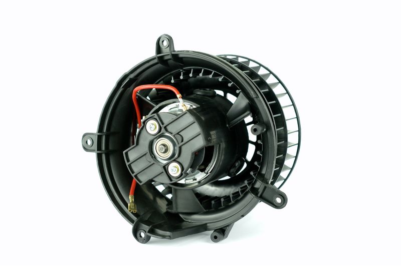 Salongipuhur, NISSENS 87152