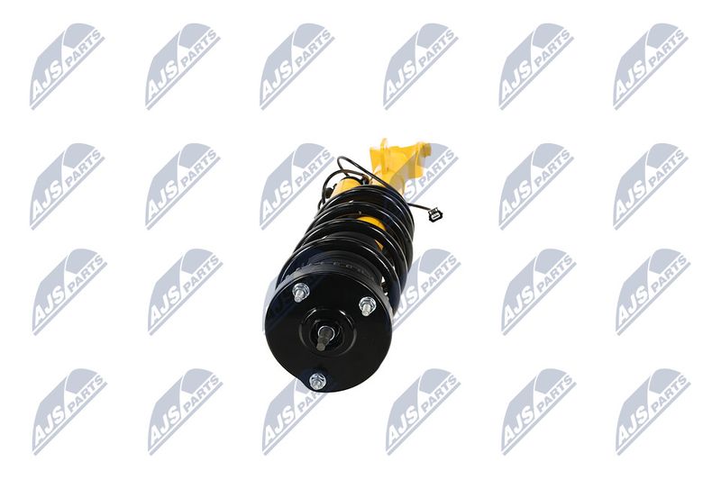Amort, NTY A-CH-122