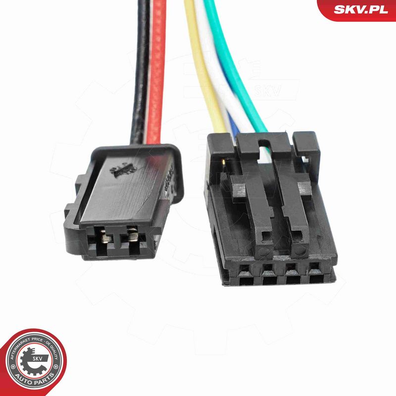 ESEN SKV 52SKV258 Electric Motor, tailgate