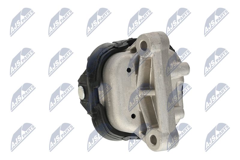 Paigutus, Mootor, NTY ZPS-CH-019