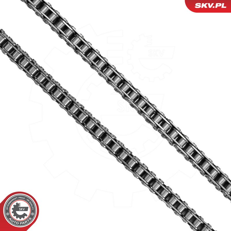 Mootori keti komplekt, ESEN SKV 21SKV281