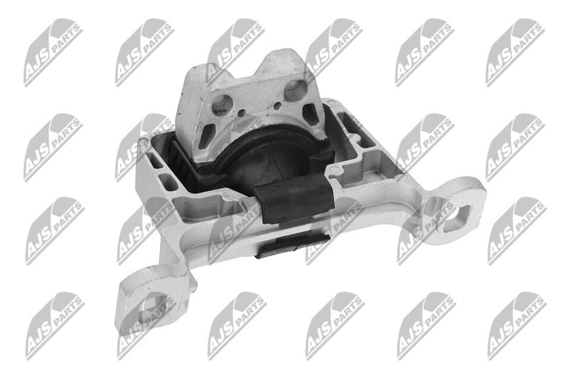 Paigutus, Mootor, NTY ZPS-FR-045