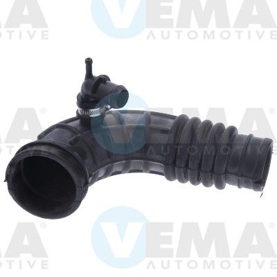 VE55902.JPG