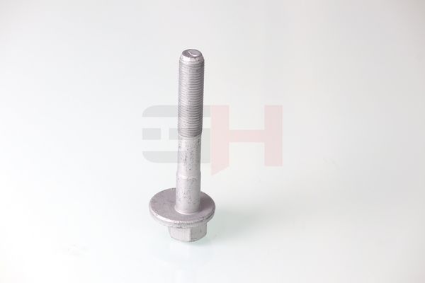GH GH-399901 Camber Correction Screw