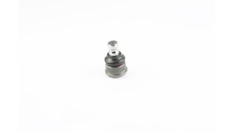 SKF VKDS 316006 Šarnyras / girgždukas