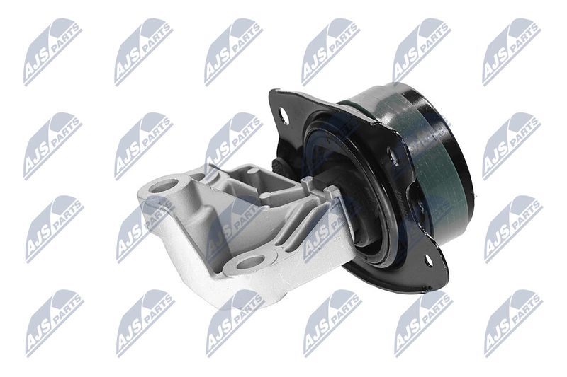 Paigutus, Mootor, NTY ZPS-CH-147