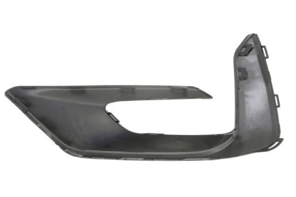 BLIC 5513-00-2595924P Trim/Protection Strip, bumper