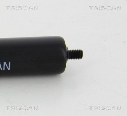 TRIS87101022247900_3.JPG