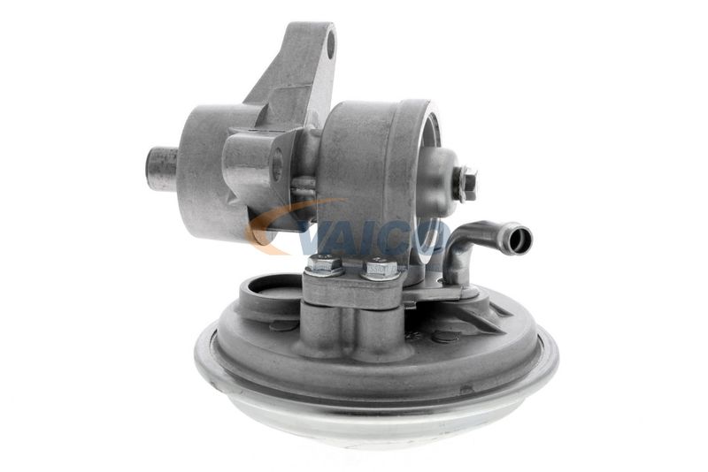 VAICO V25-1907 Mounting, engine
