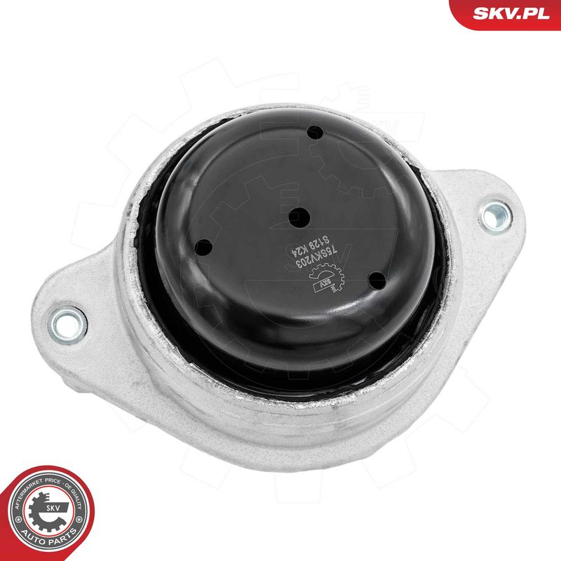 Paigutus, Mootor, ESEN SKV 75SKV203