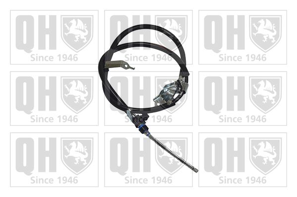 QH_BC3911.JPG