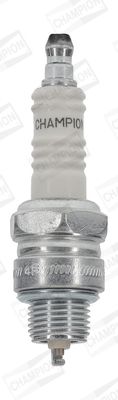 CCH91_4510904.JPG