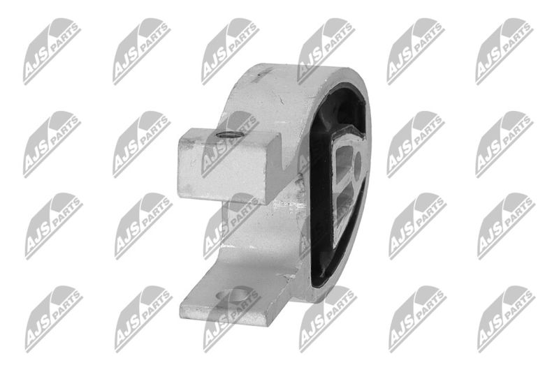 Paigutus, Mootor, NTY ZPS-FR-038