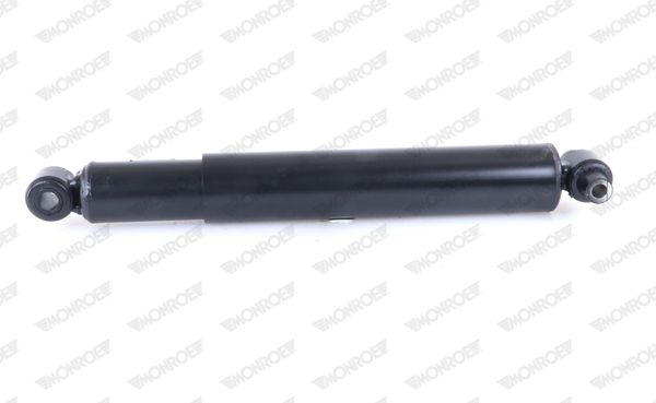 T5438_3001341.JPG