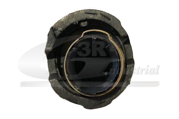 Käigukanginupp, 3RG 25851