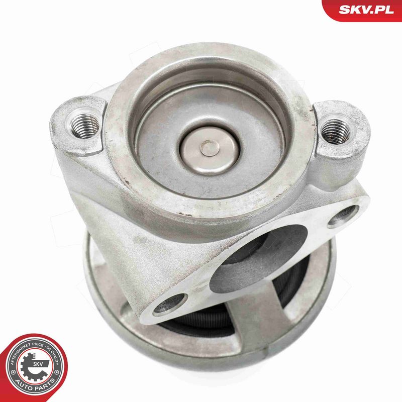 ESEN SKV 14SKV269 EGR Valve