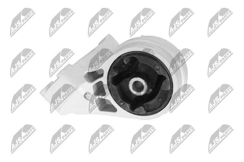 Paigutus, Mootor, NTY ZPS-CH-148