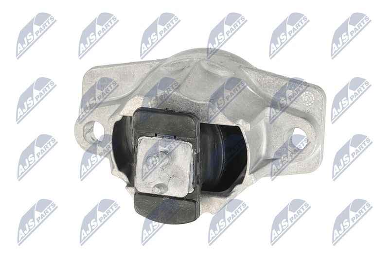 Paigutus, Mootor, NTY ZPS-LR-015