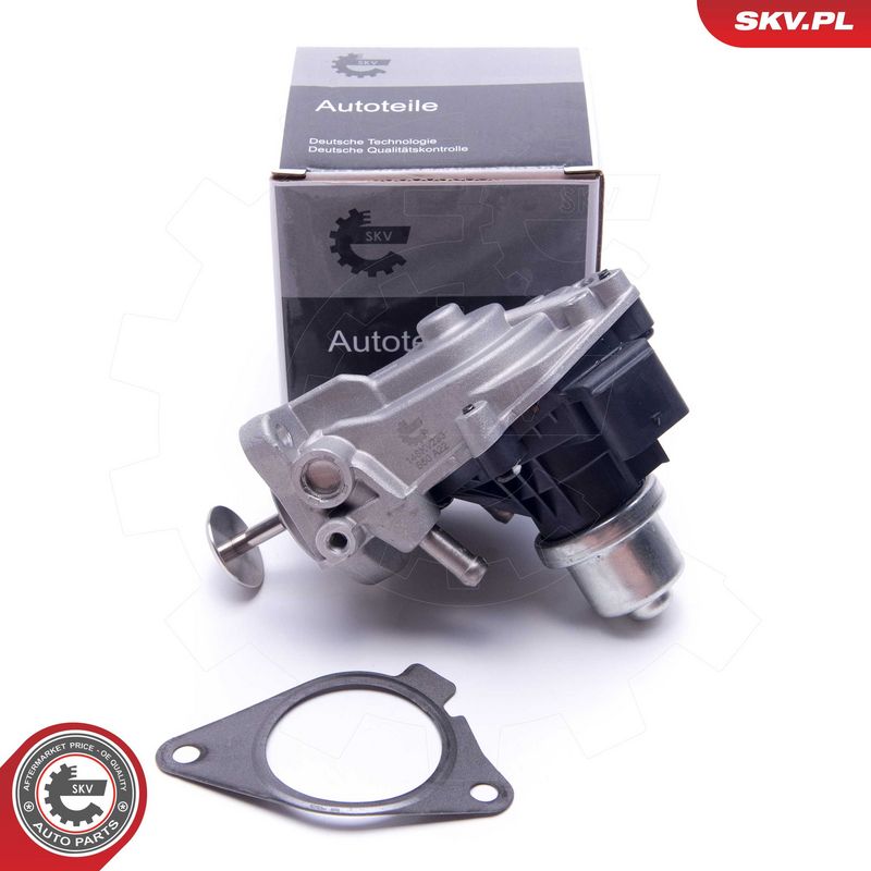EGR-klapp, ESEN SKV 14SKV233