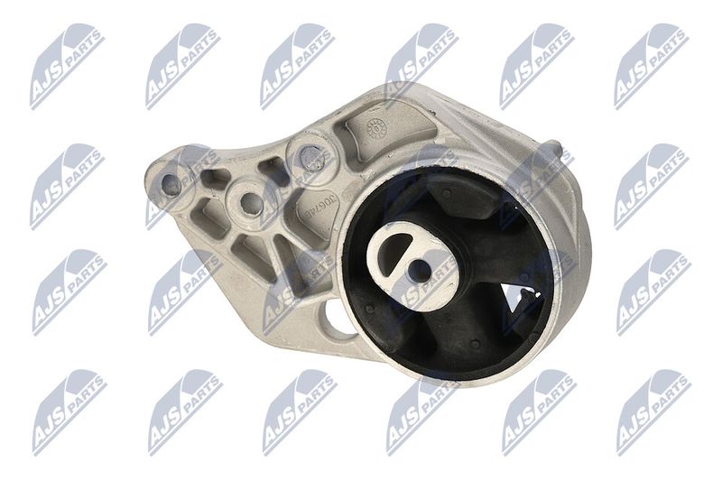 Paigutus, Mootor, NTY ZPS-CH-113