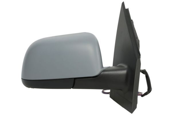 BLIC 5402-04-1129119P Exterior Mirror