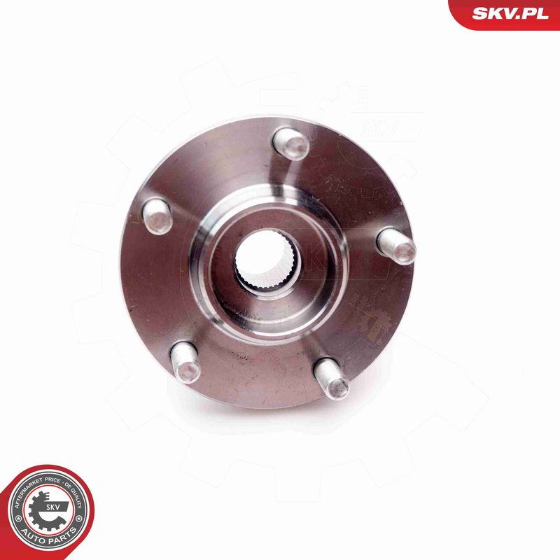 ESEN SKV 29SKV081 Wheel Bearing Kit