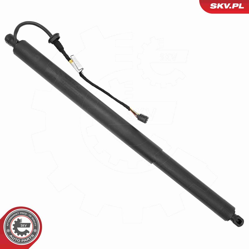 ESEN SKV 52SKV204 Electric Motor, tailgate