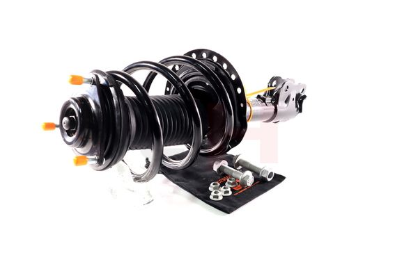 Vedruamort, GH GH-353057C01