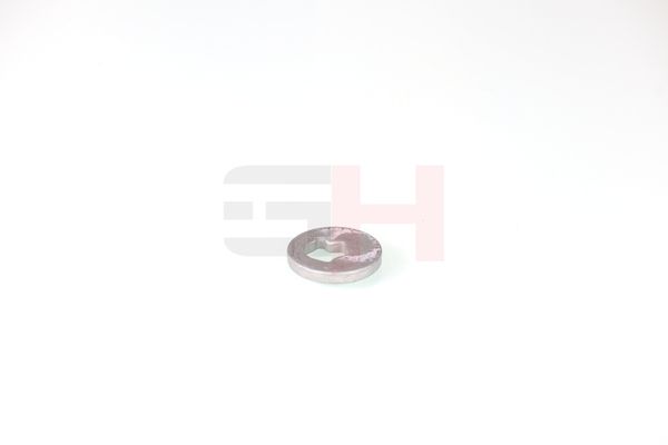 caster shim, sillatala, GH GH-391582