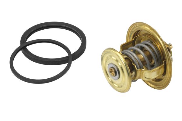 BorgWarner (Wahler) 4256.80D60 Thermostat, coolant