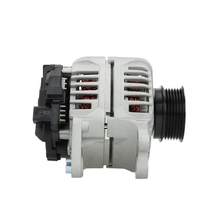 Generaator, BV PSH 305.515.090.010