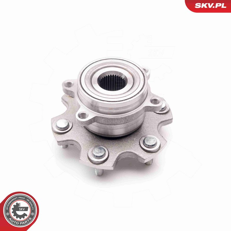 ESEN SKV 29SKV161 Wheel Bearing Kit