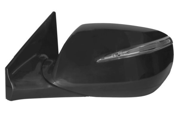 BLIC 5402-20-0556310P Exterior Mirror