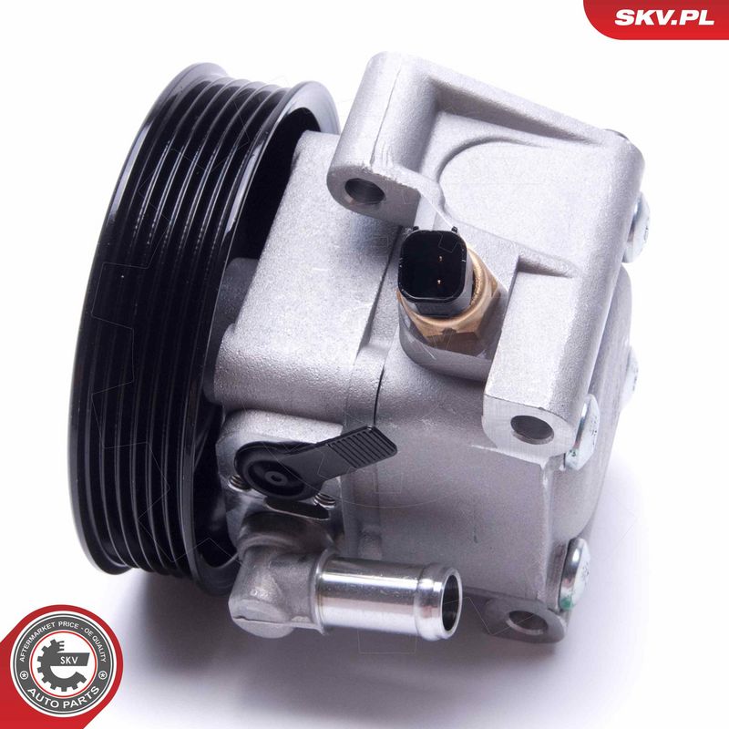 Hüdraulikapump, roolimine, ESEN SKV 10SKV306