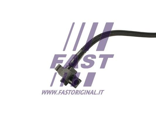 FT61160_3_1.JPG
