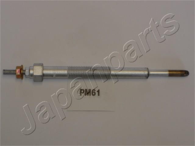 PM61_1.JPG