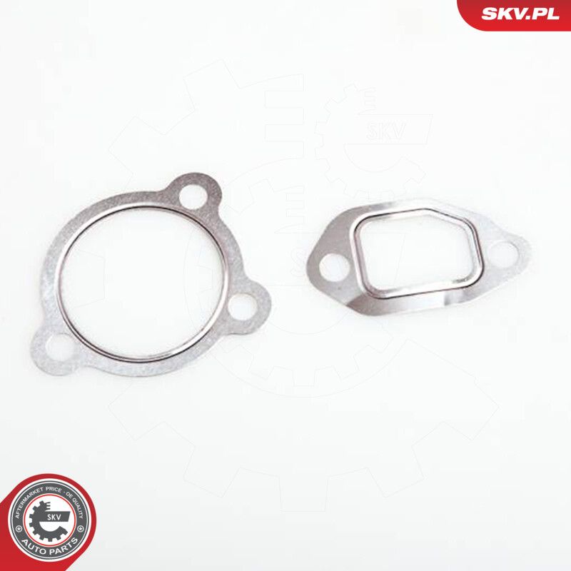 EGR-klapp, ESEN SKV 14SKV014