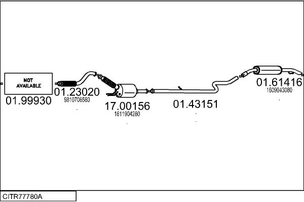CITR77780A.JPG