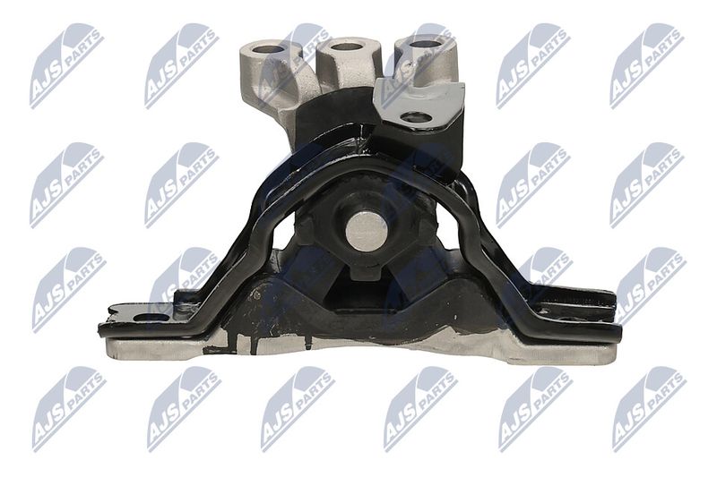 Paigutus, Mootor, NTY ZPS-PL-043
