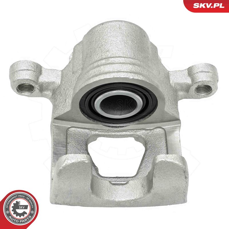 ESEN SKV 78SKV193 Brake Caliper