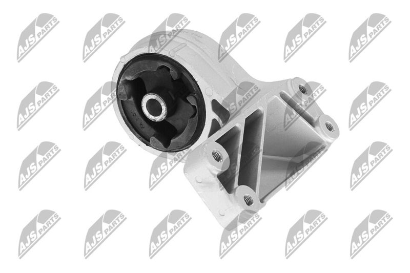 Paigutus, Mootor, NTY ZPS-CH-148